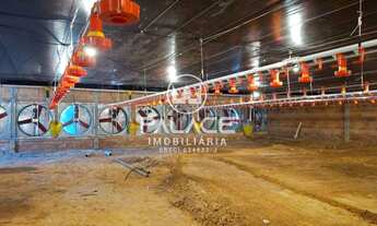 Imagem: Granja ativa a venda, nas margens da rodovia