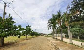 Imagem 4: Terreno-À VENDA-Água Branca-Piracicaba-SP