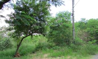 Imagem 3: Terreno à venda, 2000 m² por RS 240.000,00 - Pau D Alhinho - Piracicaba-SP