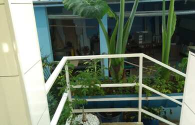 Imagem 7: Casa com 3 dormitórios à venda, 290 m² por RS 890.000,00 - Nossa Senhora de Fátima - Pirac