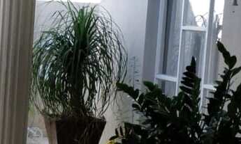 Imagem 2: Casa com 3 dormitórios à venda, 170 m² por RS 730.000,00 - Santa Terezinha - Piracicaba-SP