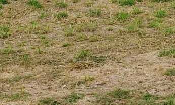 Imagem 5: Terreno à venda por RS 188.000,00 - Jardim Tatuapé - Piracicaba-SP