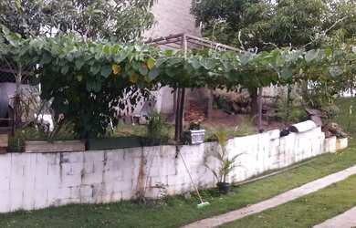 Imagem 6: Chácara à venda, 1600 m² por RS 300.000 - Santa Isabel (Tupi) - Piracicaba-SP