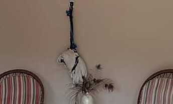 Imagem: Casa com 3 dormitórios à venda, 125 m²