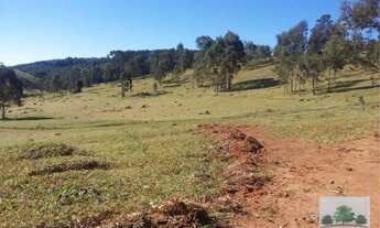 Imagem 2: Fazenda com 12 dormitórios à venda, 7889200 m² por RS 28.036.000,00 - Centro - Campanha-MG