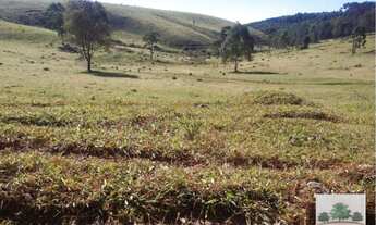 Imagem 3: Fazenda com 12 dormitórios à venda, 7889200 m² por RS 28.036.000,00 - Centro - Campanha-MG