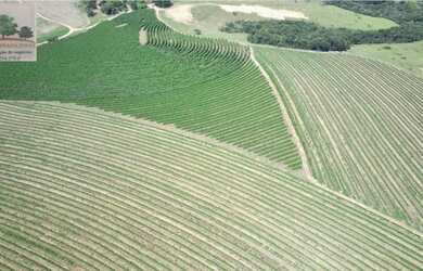 Imagem 7: Fazenda à venda, 1452000 m² por RS 15.000.000,00 - Zona Rural - Perdizes-MG
