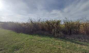 Imagem 5: Terreno para alugar, 1100 m² por RS 3.000,00-mês - Comendador Mário Dedini - Piracicaba-SP