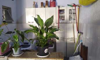 Imagem 5: Casa com 3 dormitórios com suíte à venda, 291 m² - Castelinho - Piracicaba-SP