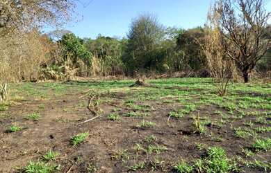 Imagem 4: Terreno à venda, 2100 m² por RS 600.000,00 - Chácara São Jorge - Piracicaba-SP