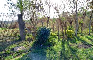 Imagem 5: Terreno à venda, 2100 m² por RS 600.000,00 - Chácara São Jorge - Piracicaba-SP