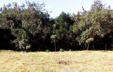 Imagem 3: Terreno à venda, 1000 m² por RS 180.000,00 - Altos Do Jardim Botânico - São Pedro-SP