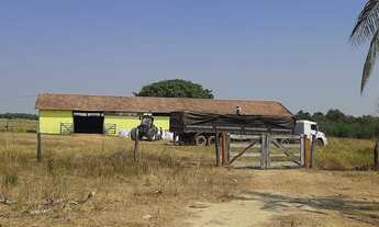 Imagem 2: Fazenda à venda, 7300000 m² por RS 30.000.000,00 - Zona Rural - Alvorada-TO
