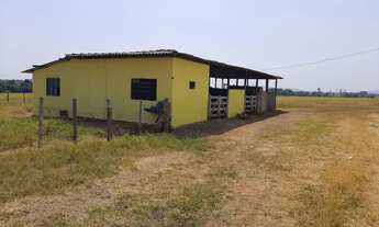 Imagem 6: Fazenda à venda, 7300000 m² por RS 30.000.000,00 - Zona Rural - Alvorada-TO