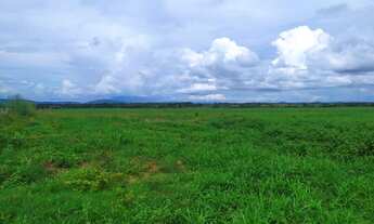 Imagem 7: Fazenda à venda, 7300000 m² por RS 30.000.000,00 - Zona Rural - Alvorada-TO