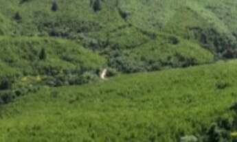 Imagem 3: Fazenda à venda, 1563600 m² por RS 11.000.000,00 - RIO APIAI - Ribeirão Branco-SP