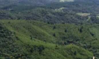 Imagem 5: Fazenda à venda, 1563600 m² por RS 11.000.000,00 - RIO APIAI - Ribeirão Branco-SP