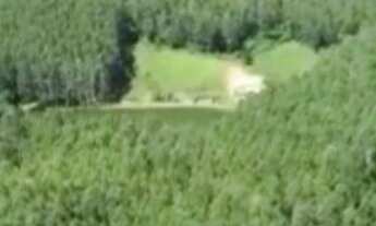 Imagem 7: Fazenda à venda, 1563600 m² por RS 11.000.000,00 - RIO APIAI - Ribeirão Branco-SP