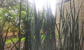 Imagem 7: Apartamento com 3 dormitórios para alugar, 163 m² por RS 4.200,00-mês - Nova América - Pir