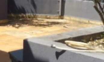 Imagem 3: Apartamento com 3 dormitórios, 220 m² - venda por RS 850.000,00 ou aluguel por RS 4.000,00