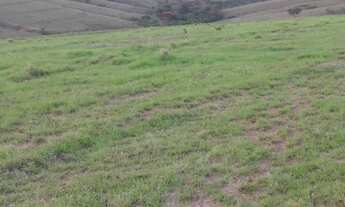 Imagem 2: Fazenda com 5 dormitórios à venda, 5000000 m² por RS 18.000.000 - Zona Rural - Tapira-MG