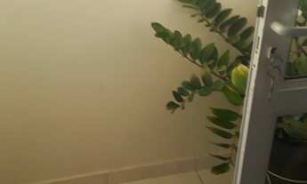 Imagem: Apartamento com 2 dormitórios e 2 vagas