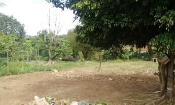 Imagem 3: Chácara com 4 dormitórios e 2 suítes à venda, 2000 m² por RS 1.389.000 - Glebas California