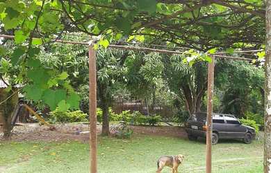 Imagem 5: Chácara com 3 dormitórios à venda, 5796 m² por RS 900.000 - Zona Rural - Piracicaba-SP