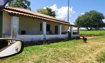 Imagem 3: Fazenda com 4 dormitórios à venda, 4961000 m² por RS 36.000.000 - Zona Rural - Santo Antôn