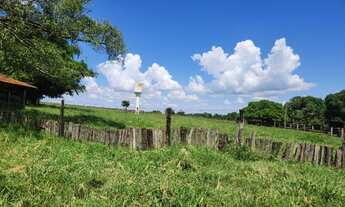 Imagem 4: Fazenda com 4 dormitórios à venda, 4961000 m² por RS 36.000.000 - Zona Rural - Santo Antôn