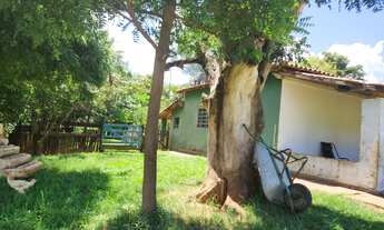 Imagem 6: Fazenda com 4 dormitórios à venda, 4961000 m² por RS 36.000.000 - Zona Rural - Santo Antôn