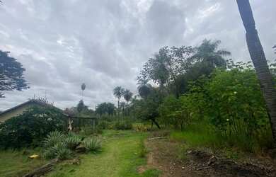 Imagem 2: Área à venda, 16700 m² por RS 4.200.000,00 - Monterrey - Araçatuba-SP