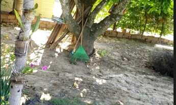 Imagem 4: Chácara com 3 dormitórios à venda, 835 m² por RS 250.000 - Zona Rural - Conchas-SP