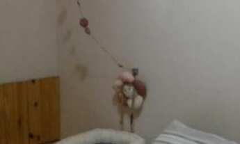 Imagem 6: Casa à venda, 157 m² por RS 550.000,00 - Campestre - Piracicaba-SP