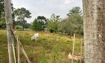 Imagem 5: Chácara com 2 dormitórios à venda, 27000 m² por RS 1.300.000,00 - Tupi - Piracicaba-SP