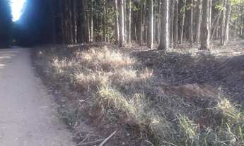 Imagem 2: Área á venda em São Pedro, Bairro Tanquã