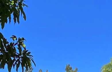 Imagem 2: Chácara : / Rural / Loteamento Águas Claras