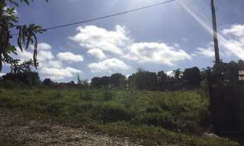 Imagem 4: Terreno à venda, 1000 m² por RS 75.000,00 - Cidade Feliz - Conchas-SP