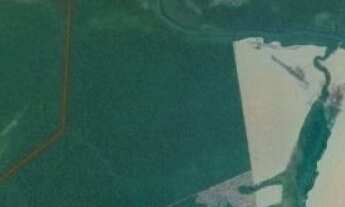 Imagem: FAZENDA a venda no CASTANHAL em Marcelândia/MT