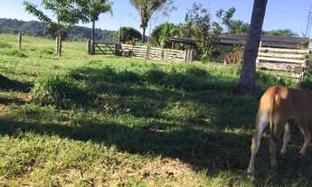 Imagem: Fazenda a venda no ÁREA RURAL em Itaúba/MT