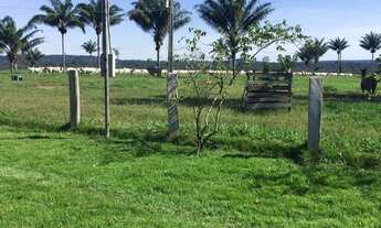 Imagem 2: Fazenda a venda no ÁREA RURAL em Itaúba/MT