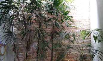 Imagem 4: Casa a venda no JOÃO BOTELHO em Montes Claros/MG