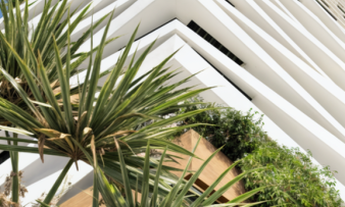 Imagem 5: Apartamento a venda no BESSA em João Pessoa/PB