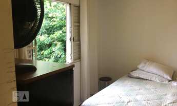 Imagem 7: Casa à Venda - Jardim Londrina, 3 Quartos, 240 m2