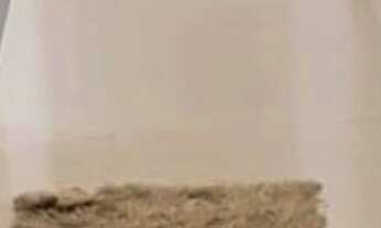 Imagem 7: Casa à Venda - Parque São Domingos, 4 Quartos, 180 m2