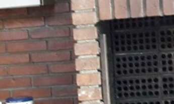 Imagem 4: Casa à Venda - Butantã, 3 Quartos, 620 m2