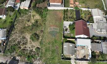 Imagem 3: Terreno à venda bairro Borda do Campo/São José dos Pinhais