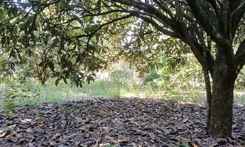 Imagem: TERRENO DE CHÁCARA A VENDA NO PORTAL DE