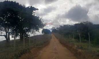 Imagem 7: Fazenda com 12.39 Hec - Laranjal - MG - próximo a BR 116 -Todo formado em braquiária Ideal