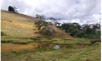 Imagem 3: Fazenda com 12.39 Hec - Laranjal - MG - próximo a BR 116 -Todo formado em braquiária Ideal